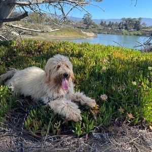 Meet your Posher, Jayne